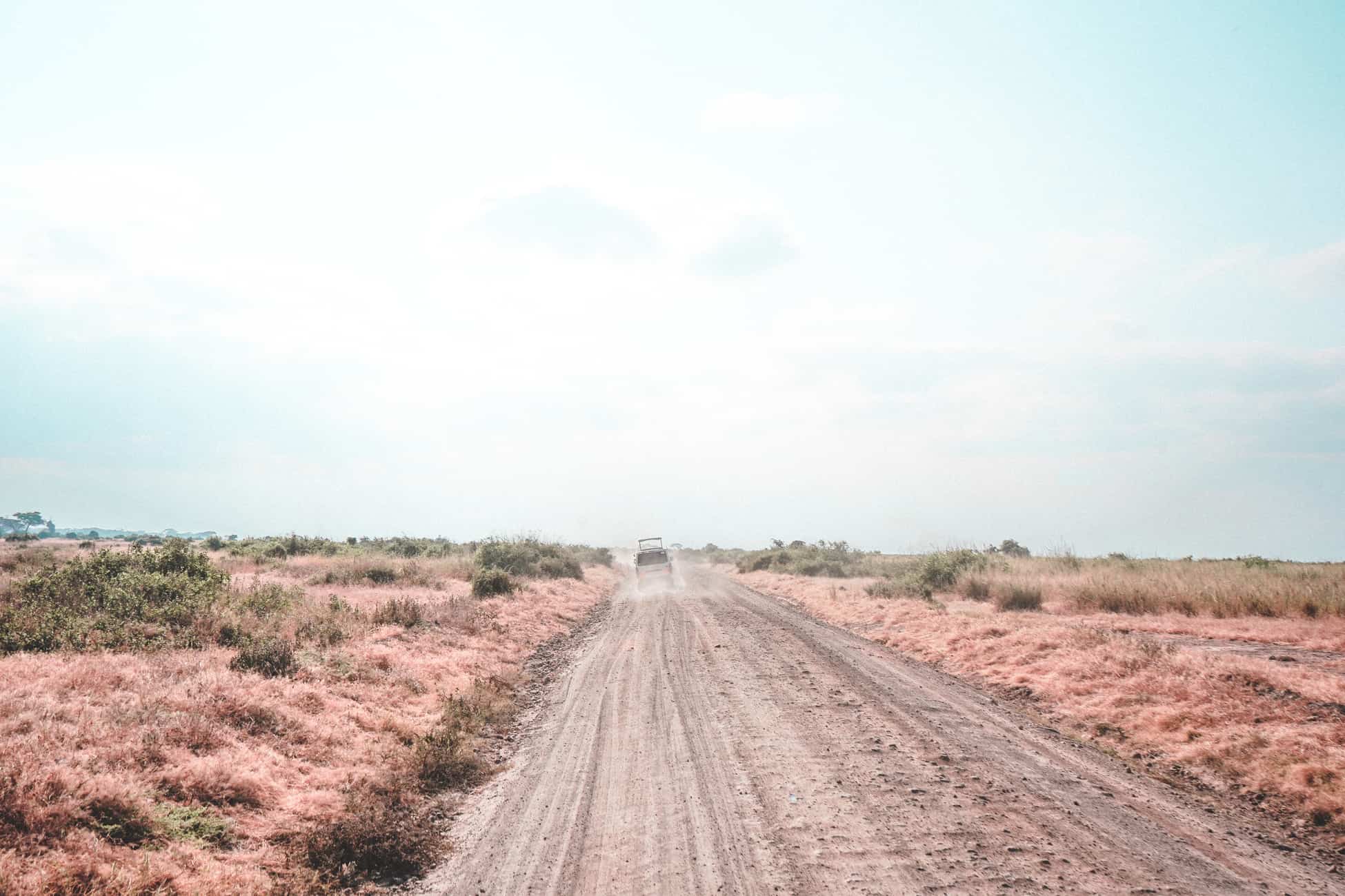 Our African journey: 7-day Safari in Kenya and Tanzania. 5 parks in 7 days