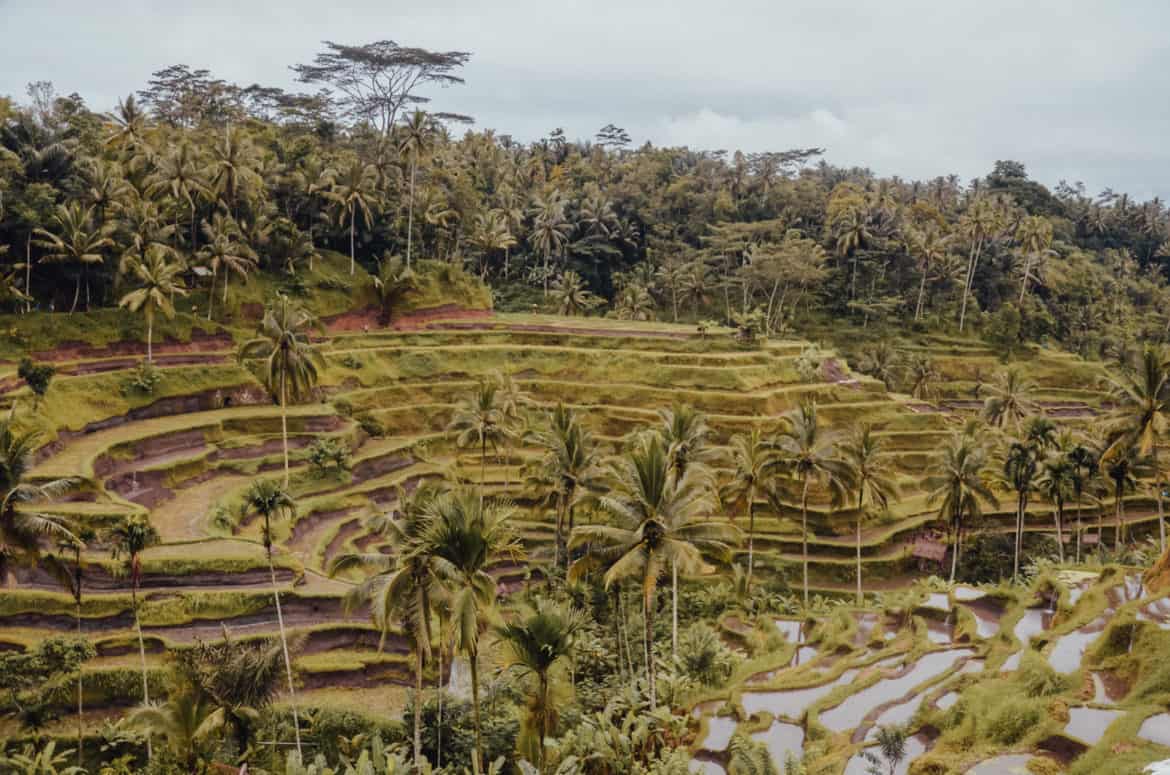 Bali in December Worth It? Best Things to Do in Bali When it Rains