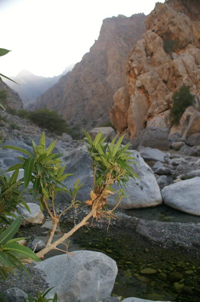 Most Instagrammable places in Oman | Oman photo locations