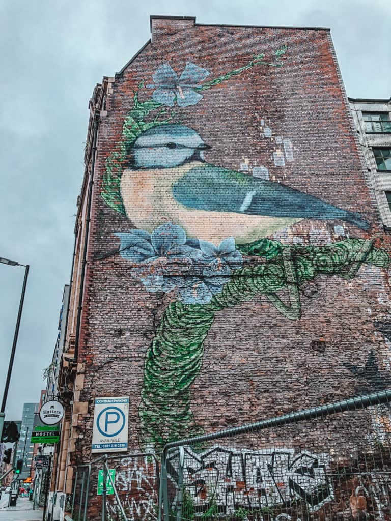 best street art in Manchester, Instagrammable spots 