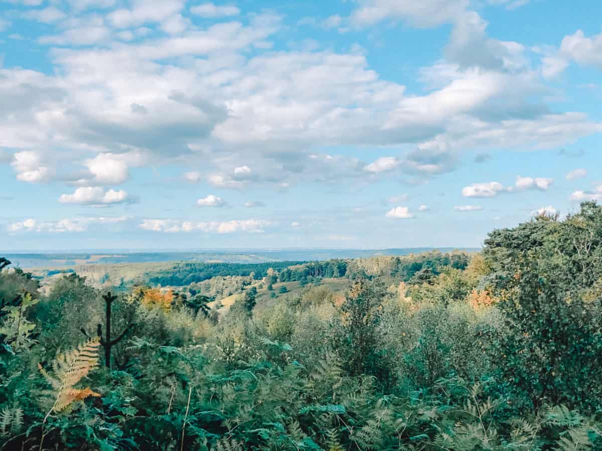 Amazing day hike near London: Dorking to Leith Hill | Surrey Hills AONB Hike