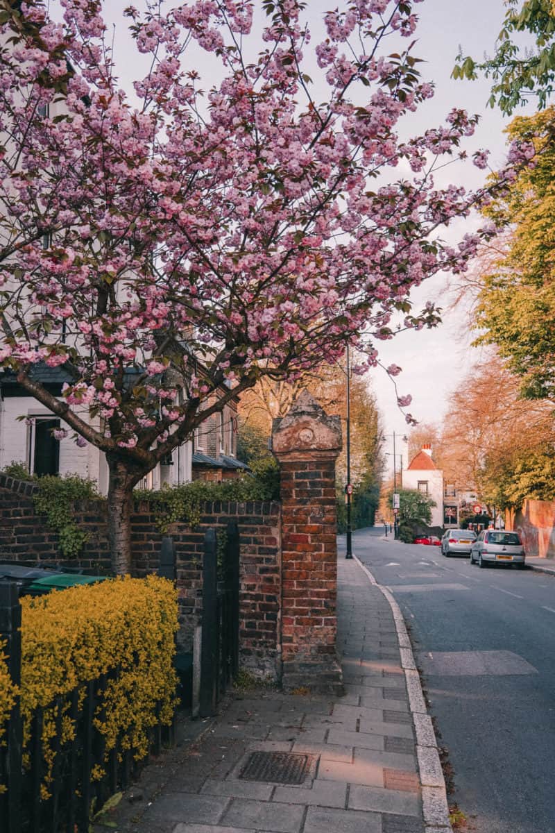 Living in East Finchley Things To Do, Safety and Rent. Is It Worth It?