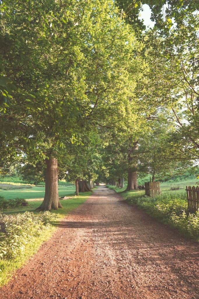 the most scenic circular day walk near London: Sevenoaks, Knole Deer Park and Ightham Mote
