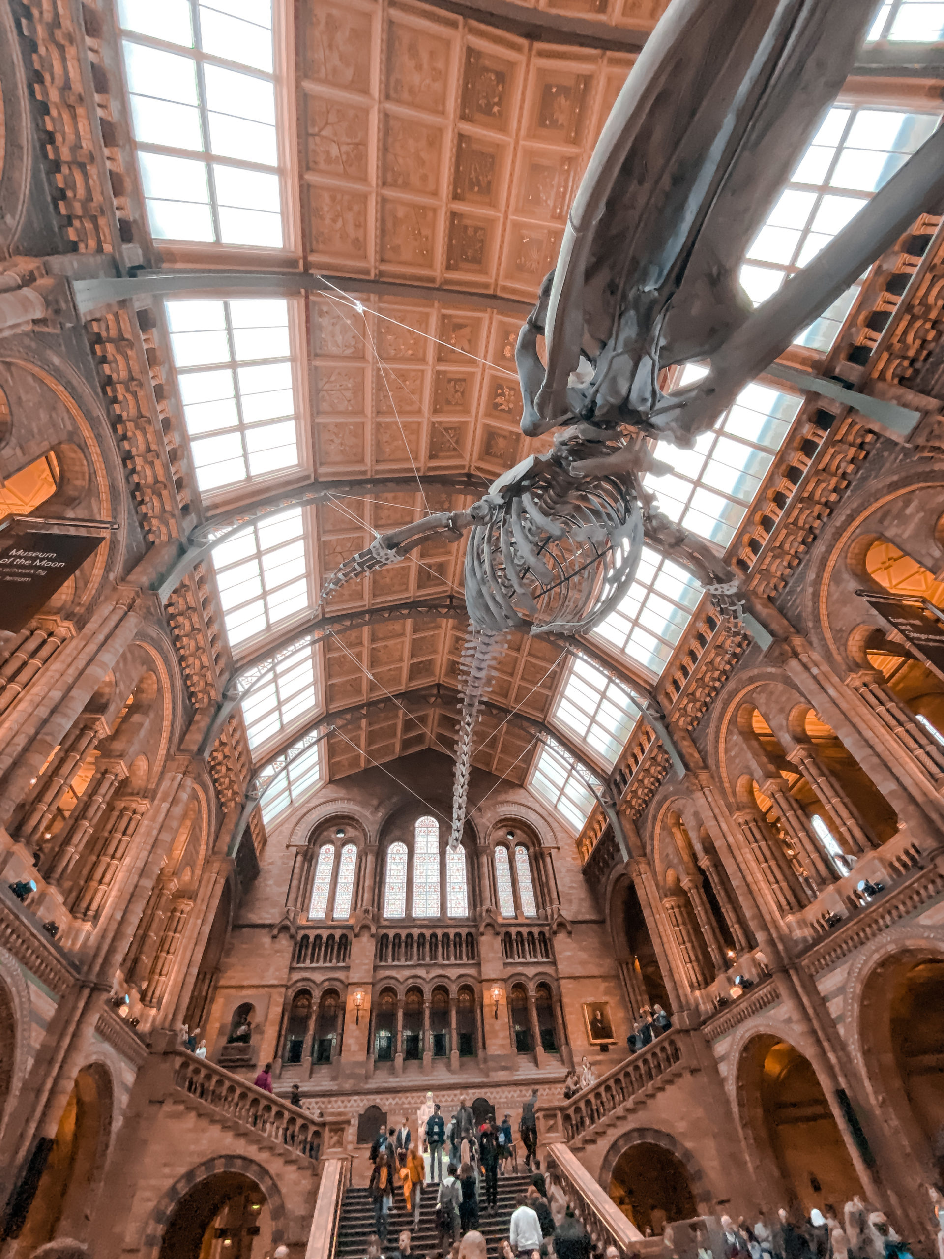 London in 4 days. Natural History museum