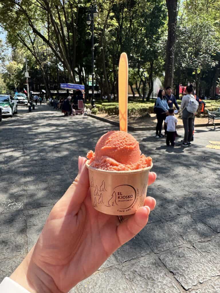 Eating out in Mexico City with the Baby