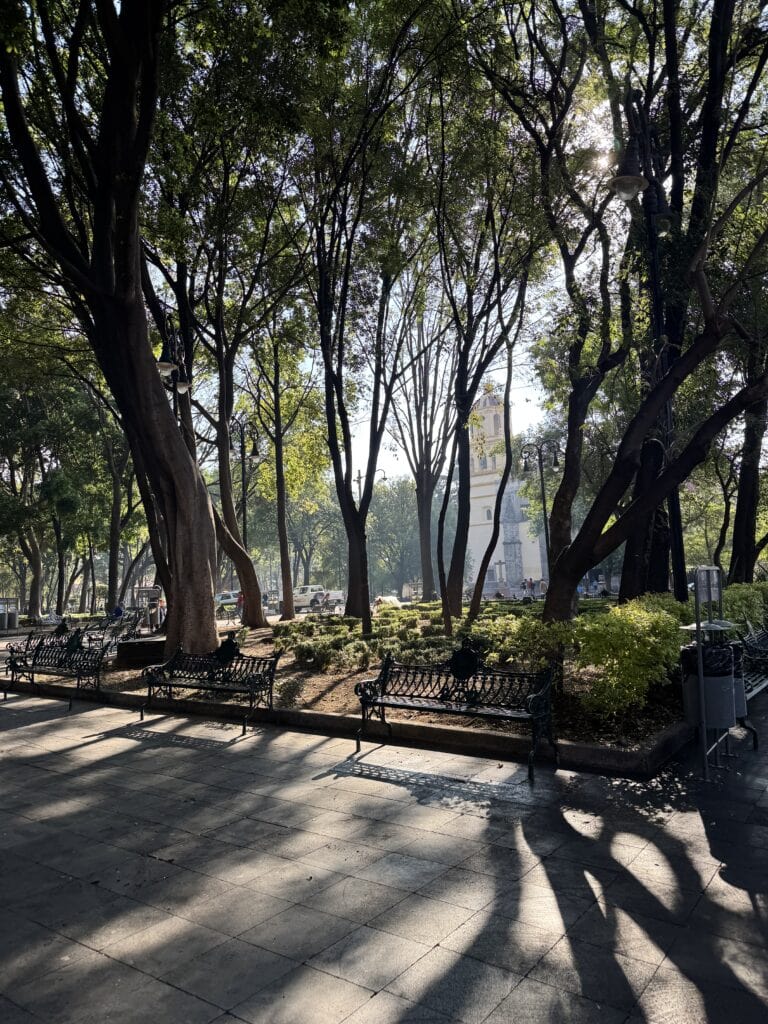 Mexico City with a Baby: The Honest Guide (Prams, Safety & Where to Stay)