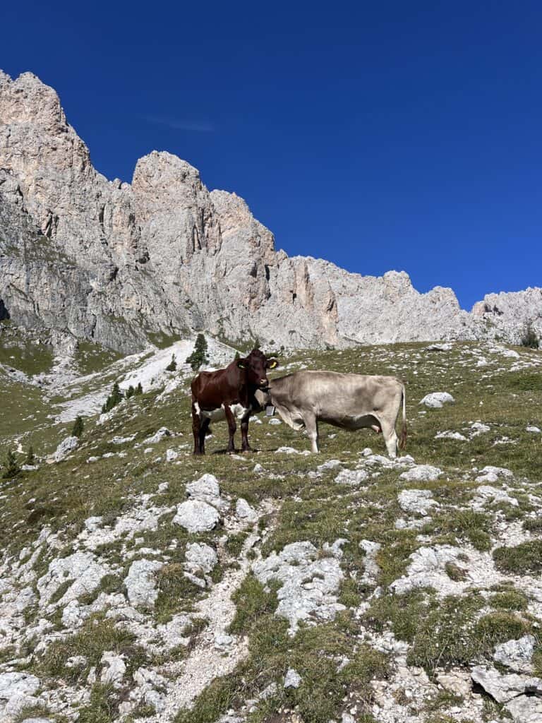 3 Days in Northern Italy: Lake Garda & the Dolomites — Our Long Weekend Itinerary